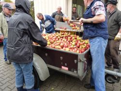 Obsternte Und Maischen 2012 14